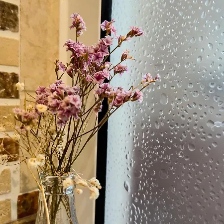 Otel Don Pepe De Sanabria